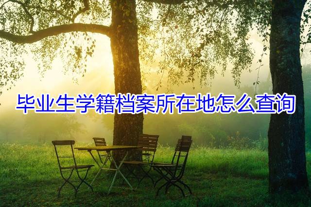 毕业生学籍档案所在地怎么查询