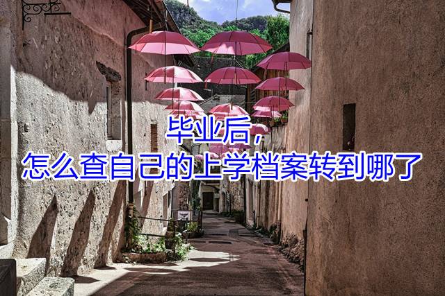 毕业后，怎么查自己的上学档案转到哪了