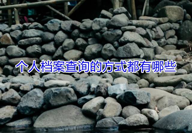 个人档案查询的方式都有哪些