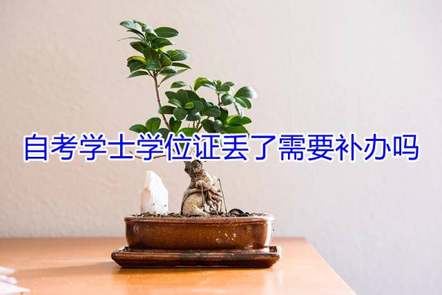 自考学士学位证丢了需要补办吗