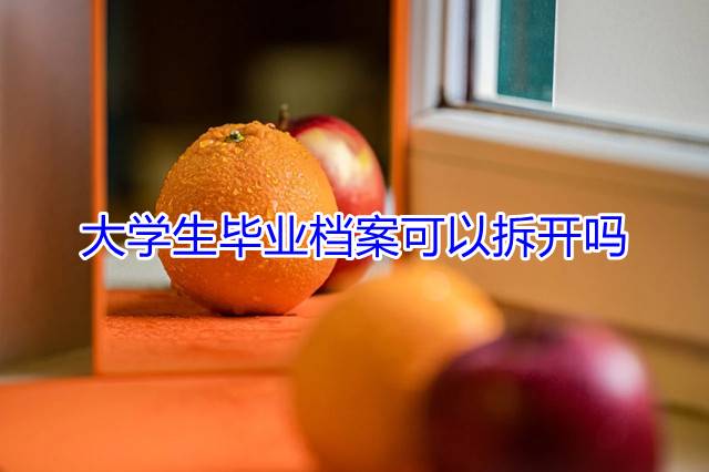大学生毕业档案可以拆开吗