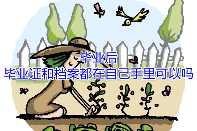 毕业后，毕业证和档案都在自己手里可以吗