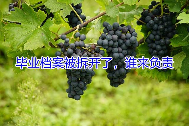 毕业档案被拆开了，谁来负责