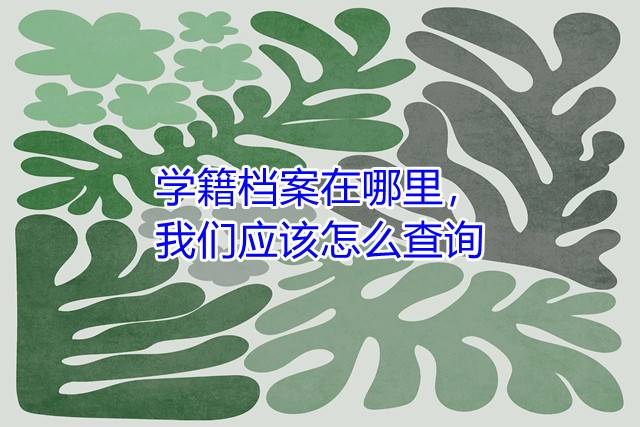 学籍档案在哪里，我们应该怎么查询