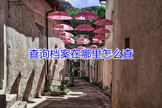 查询档案在哪里怎么查