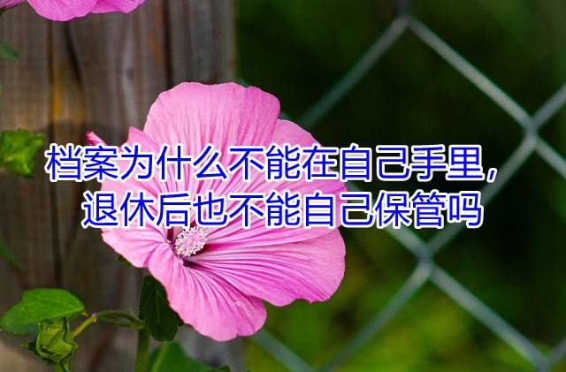 档案为什么不能在自己手里，退休后也不能自己保管吗