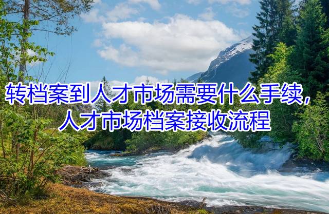 转档案到人才市场需要什么手续，人才市场档案接收流程