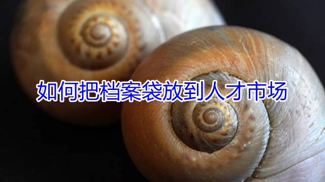 如何把档案袋放到人才市场