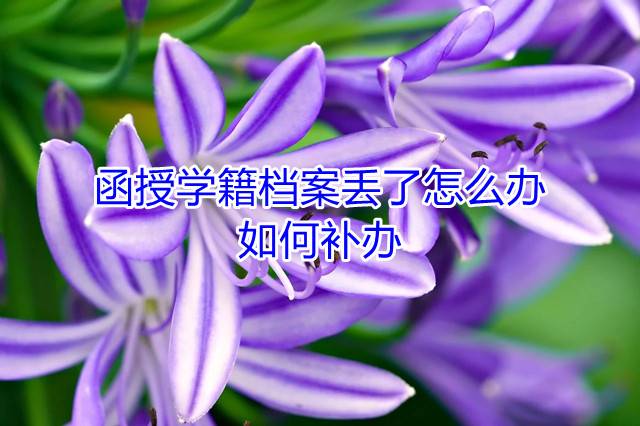 函授学籍档案丢了怎么办，如何补办