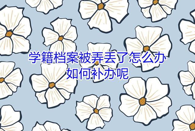 学籍档案被弄丢了怎么办，如何补办呢