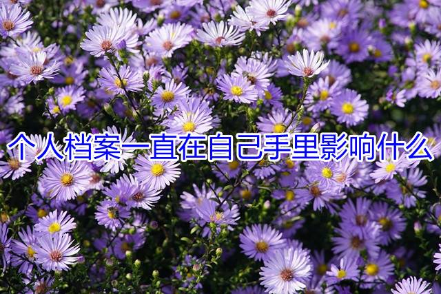 个人档案一直在自己手里影响什么