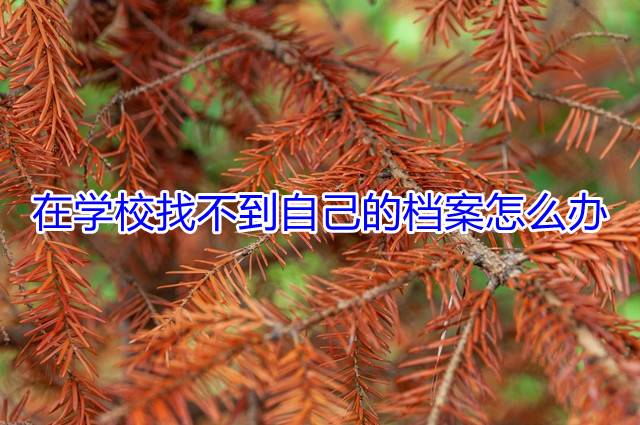 在学校找不到自己的档案怎么办