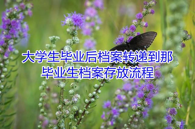 大学生毕业后档案转递到那，毕业生档案存放流程