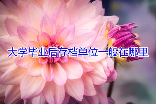 大学毕业后存档单位一般在哪里