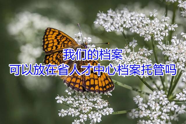 我们的档案可以放在省人才中心档案托管吗