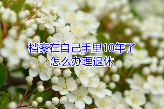 档案在自己手里10年了怎么办理退休