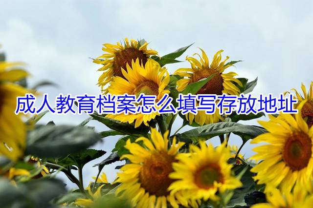 成人教育档案怎么填写存放地址