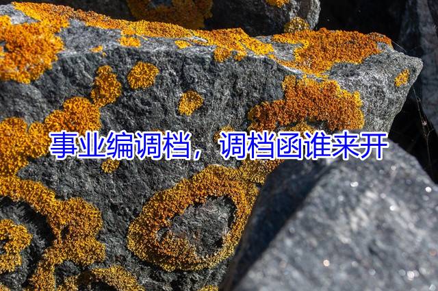 事业编调档，调档函谁来开