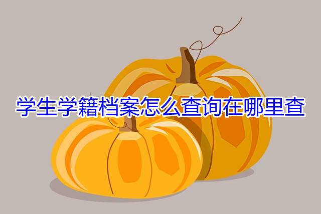 学生学籍档案怎么查询在哪里查
