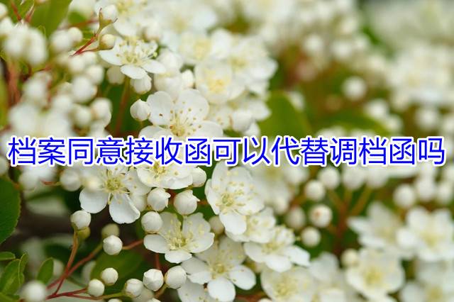 档案同意接收函可以代替调档函吗