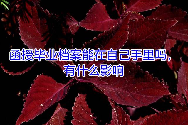 函授毕业档案能在自己手里吗，有什么影响