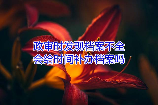 政审时发现档案不全，会给时间补办档案吗