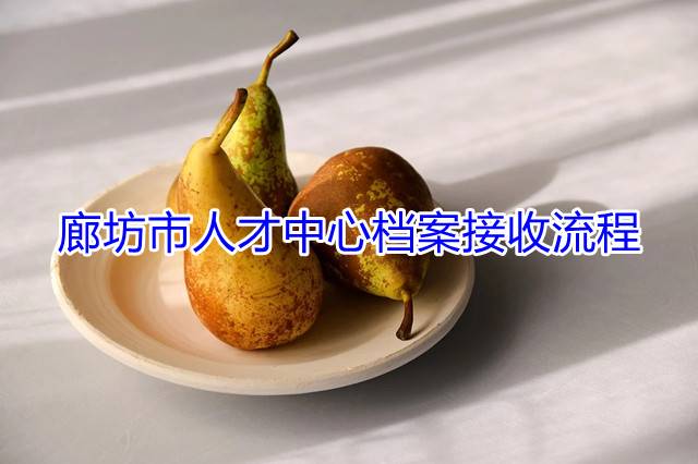廊坊市人才中心档案接收流程