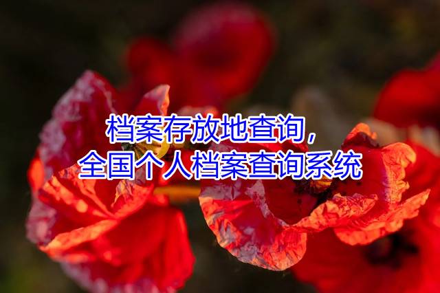 档案存放地查询，全国个人档案查询系统