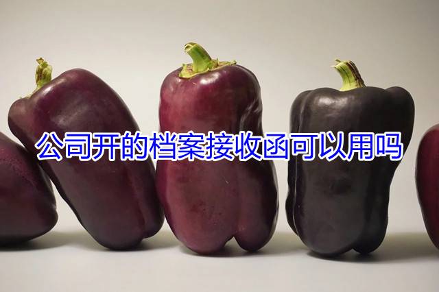 公司开的档案接收函可以用吗