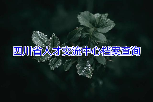 四川省人才交流中心档案查询