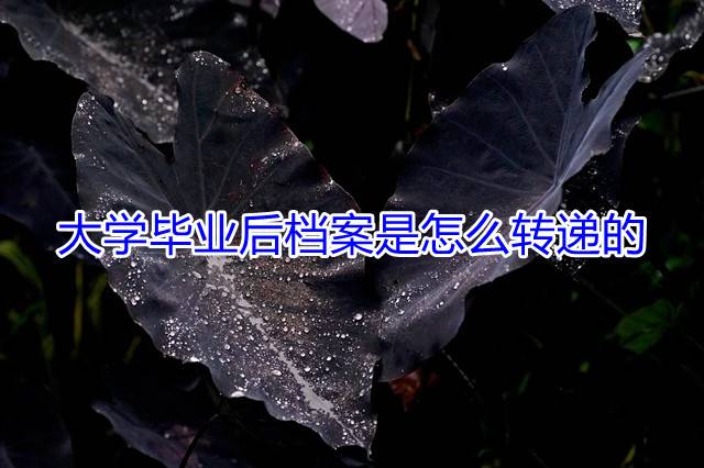 大学毕业后档案是怎么转递的