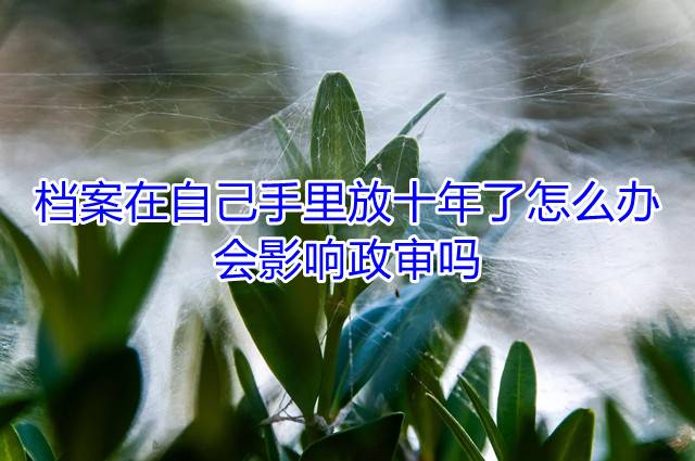 档案在自己手里放十年了怎么办，会影响政审吗