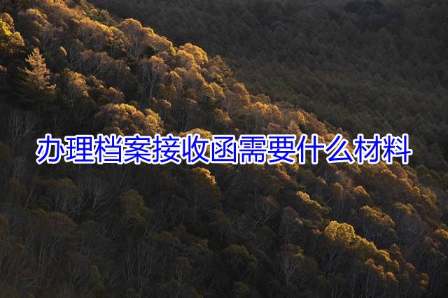 办理档案接收函需要什么材料
