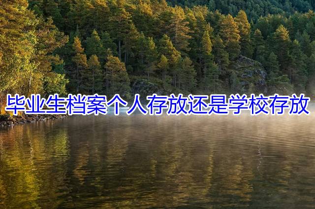 毕业生档案个人存放还是学校存放（毕业生档案如何存放在户籍地人才）