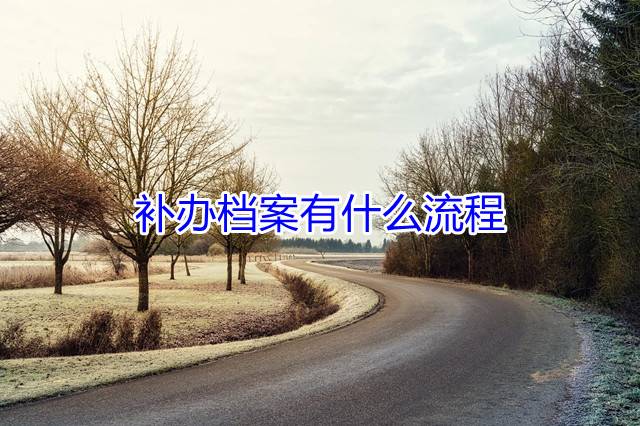 补办档案有什么流程