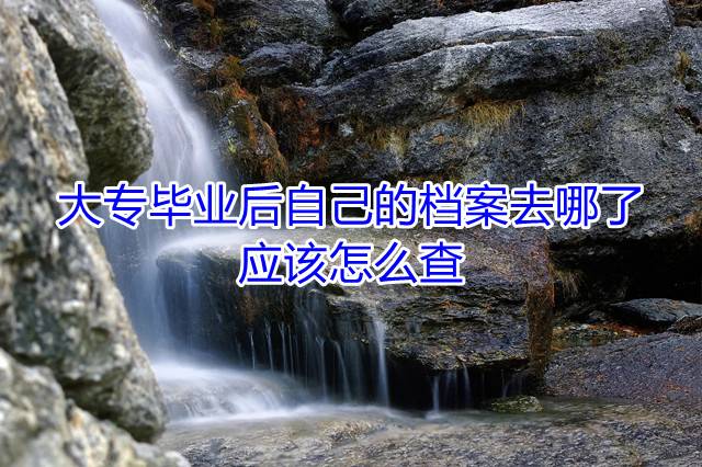 大专毕业后自己的档案去哪了应该怎么查