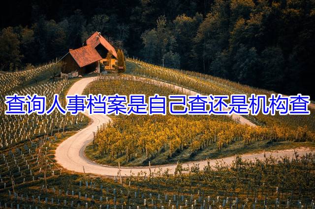 查询人事档案是自己查还是机构查