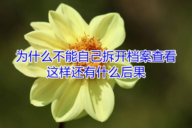 为什么不能自己拆开档案查看，这样还有什么后果