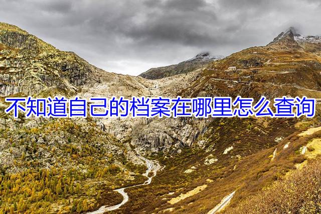 不知道自己的档案在哪里怎么查询