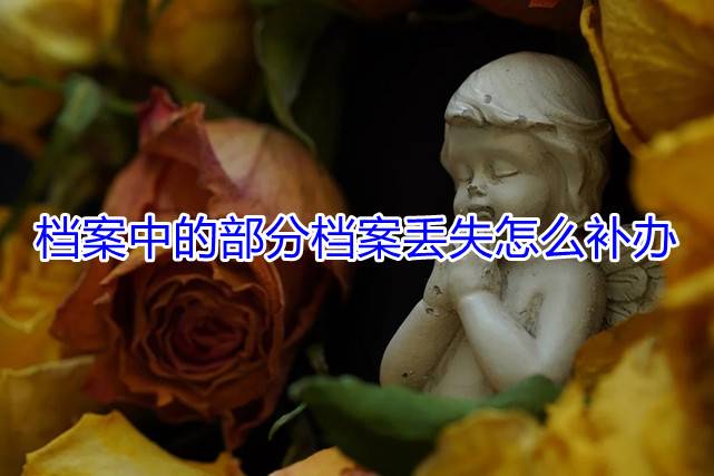档案中的部分档案丢失怎么补办