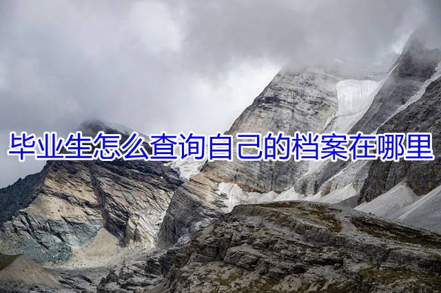 毕业生怎么查询自己的档案在哪里