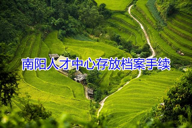 南阳人才中心存放档案手续