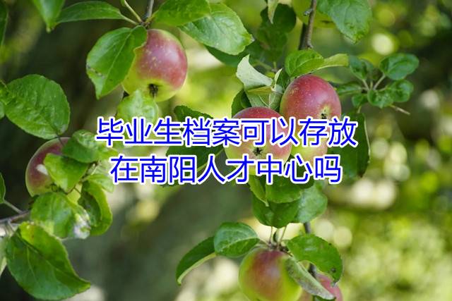 毕业生档案可以存放在南阳人才中心吗