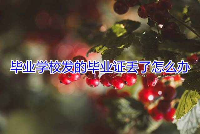 毕业学校发的毕业证丢了怎么办