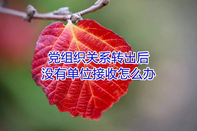 党组织关系转出后没有单位接收怎么办
