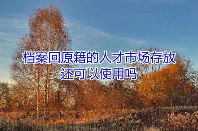 档案回原籍的人才市场存放还可以使用吗
