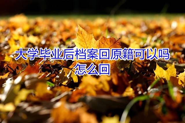 大学毕业后档案回原籍可以吗，怎么回