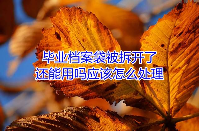 毕业档案袋被拆开了还能用吗应该怎么处理