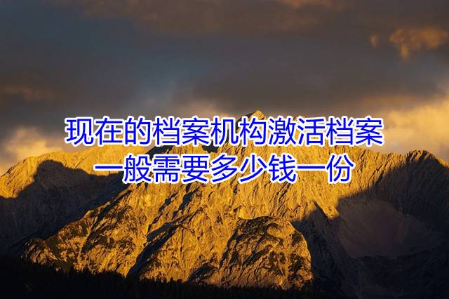 现在的档案机构激活档案一般需要多少钱一份