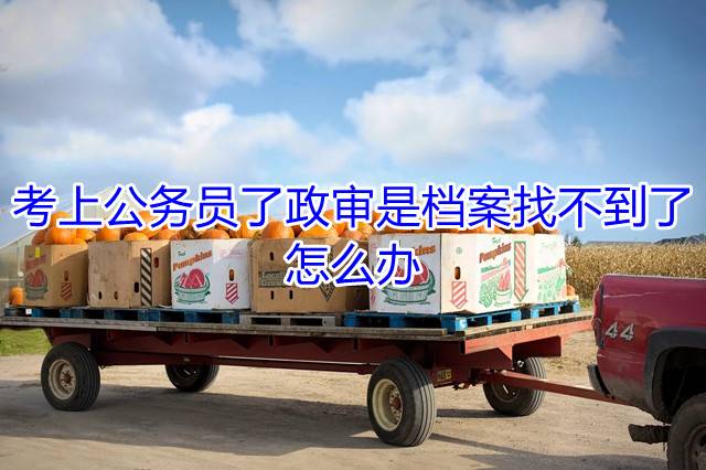 考上公务员了政审是档案找不到了，怎么办